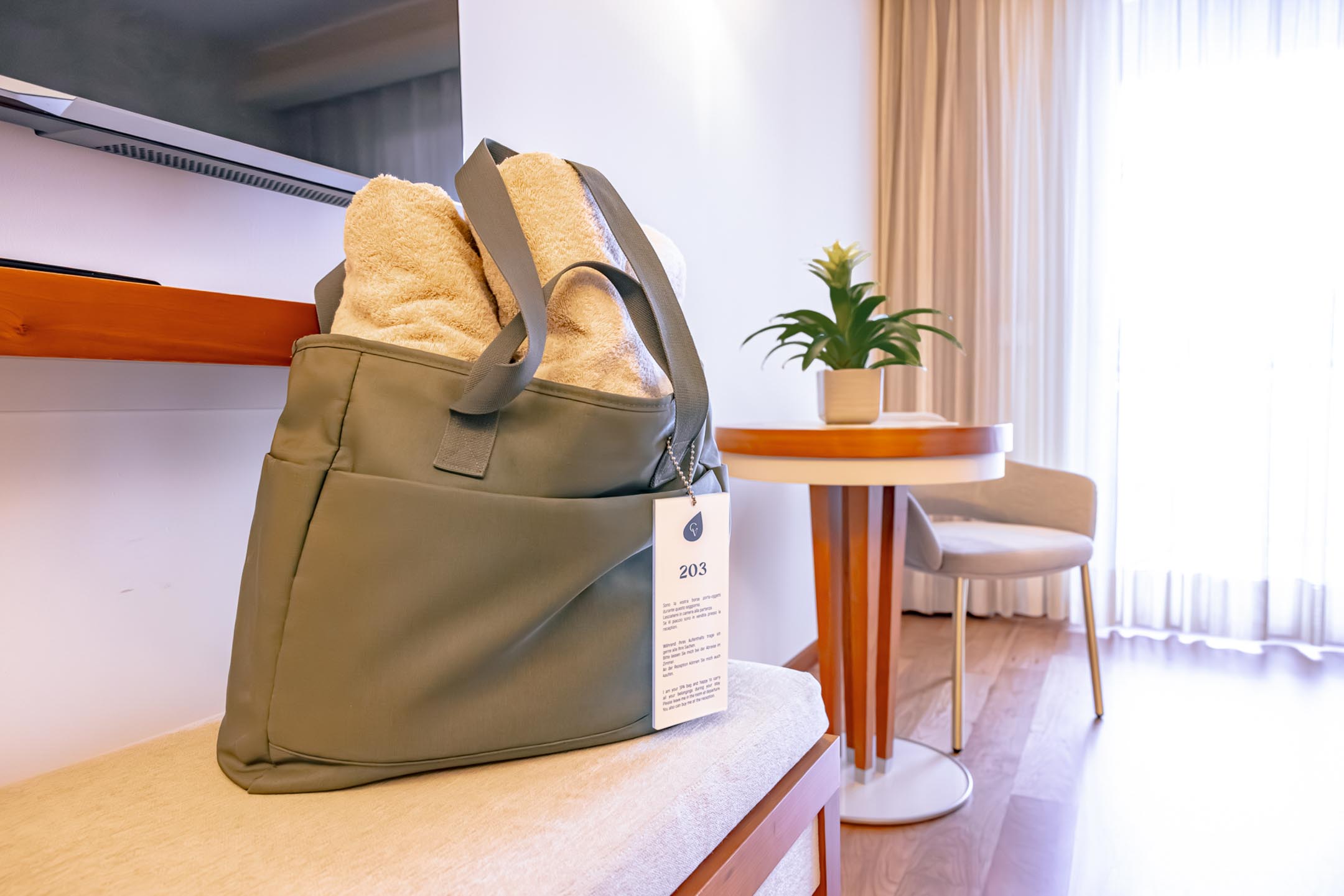 Elegant suites overlooking lake Garda